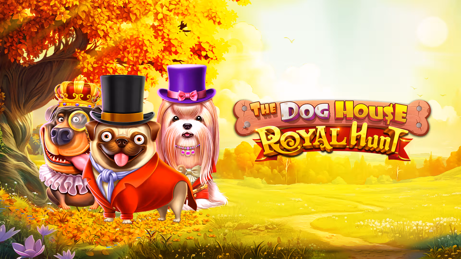 Dog house Royal hunt